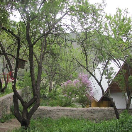 Refugio Coyoacan Villa Guayacan  Dış mekan fotoğraf